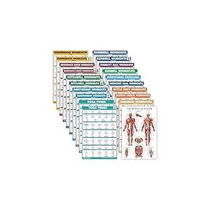 Lot de 20 affiches d'exercice : halt&egrave;res, suspension, corde de combat, &eacute;tirement, poids corporel, halt&egrave;res, yoga, ballon d'exercice, musculaire, kettlebell, bandes de r&eacute;sistance et plus encore