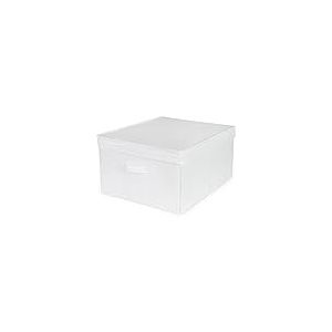 Compactor Boîte de Rangement Pliable avec Couvercle, polypropylène Non tissé et Carton, 40 x 50 x 25 cm, Blanc, RAN10902