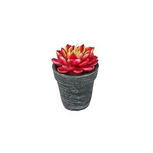 Vacchetti Bougie paraffine Cactus avec pot fuschia rond Moyen