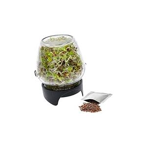 Browin®745747 Germoir en verre, pratique et facile à utiliser pour cultiver des germes sains