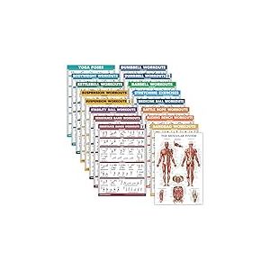 Lot de 17 affiches d'exercice : halt&egrave;res, suspension, kettlebell, musculaire, ballon de m&eacute;decine, corde de combat, bandes de r&eacute;sistance, &eacute;tirements, poids corporel, halt&egrave;re, yoga et plus encore