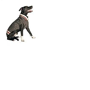 Chilly Dog Pull pour Chien