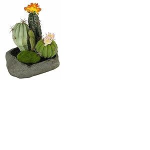 Flair Flower 088887or Cactus en Pierre, Plastique, Orange, 19 x 15 x 14 cm