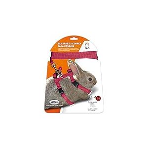 ICA Kit Harnais et Sangle pour Lapins (DA1025) Rouge