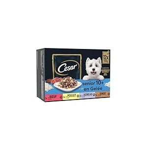 CESAR Repas pour Chien Senior - 48 Sachets Fraîcheur (Lot de 4 Packs 12x100g) - Pâtée pour Chien en Gelée - Boeuf / Poulet / Agneau / Dinde - Nourriture Complète & Equilibrée avec Ingrédients Naturels