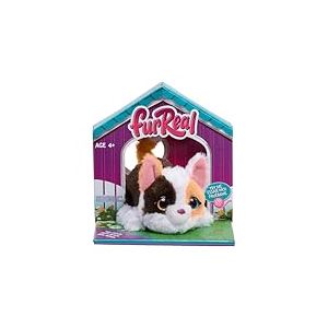 Just Play Mini-Chaton interactif de FurReal, Petit Chat en Peluche avec mouvements, Animaux en Peluche, Jouets pour Enfants de 4 Ans et Plus
