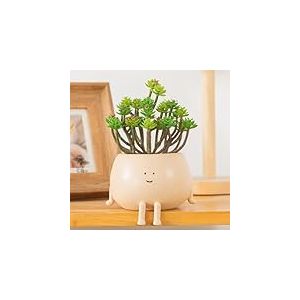 COTYNI Pots Assis, Pots de Fleurs succulentes, Pot de Fleurs en résine avec Trou de Drainage, Pot de Cactus Unique, Petit Pot pour Mini Plante (Lot de 1)