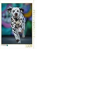 CALVENDO Puzzle Dalmatien 1000 Pieces 48 x 64 cm from DoraZett