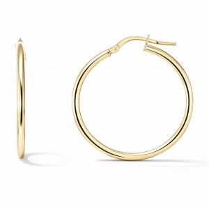 Creoles Argent dore section ronde 2x30mm