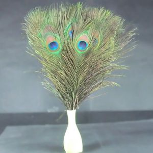 Plume de paon 25-20cm, bricolage artisanat bijoux vase robe accessoires fleur table performance