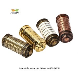 Code jouets métal Cryptex serrures Da Vinci jouets éducatifs cadeau de saint valentin cadeaux de