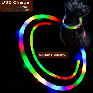 Collier de Charge Luminou pour chien, 4 Modes, Led Usb, en Silicone, coloré, détachable, lueur