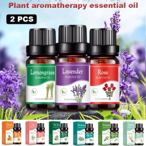 Recharge de parfum de voiture, désodorisant, plante naturelle, diffuseur d'arôme, humidificateur de