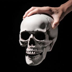 Tête de Mort de Toutes Tailles pour Halloween, 1 Pièce, Modules Humains Terribles, Accessoires de