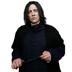 Tereshar professeur Severus Snape perruque synthétique courte droite noir hommes perruque pour