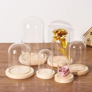 Cloche en verre pour pot, présentoir, bouteille de Terrarium avec Base en bois, couvercle
