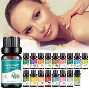Désodorisant plante naturelle aromathérapie, huile essentielle, climatisation, recharge de parfum,