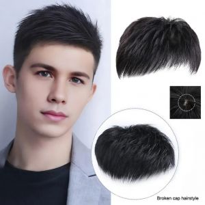 Perruque Synth&eacute;tique Courte et Lisse pour Homme, Postiche, Aspect Naturel, Taches, Gris, Nouvelle