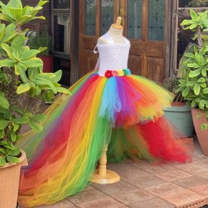 Robe Tutu traînante couleur arc-en-ciel pour petites filles, en Tulle, à fleurs au Crochet, robe de