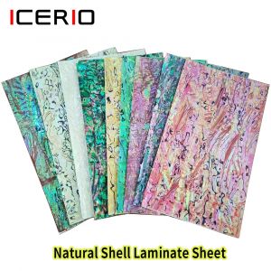 ICERIO 14x24CM feuille de coquille d'ormeau naturel adhésif Paua coquille placage feuille stratifiée