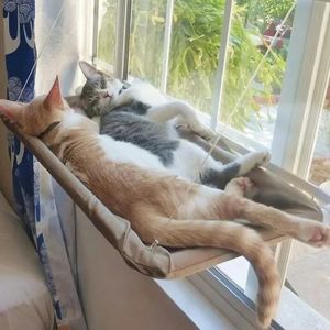 Lit suspendu pour chat, hamac aérien pour chat, maison, cadre d'escalade pour chaton, siège de
