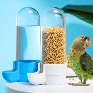 Mangeoire suspendue pour animaux de compagnie, distributeur d'eau pour perroquets, écureuil, boîte