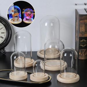Couvercle de présentoir de pot de Cloche en verre avec Base en bois, bouteille de Terrarium,