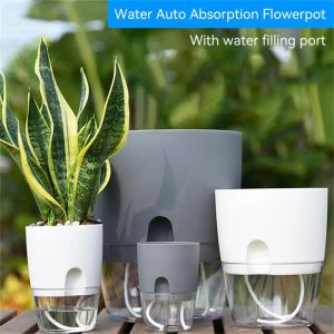 Pot de fleurs hydroponique, récipient d'eau, arrosage automatique, Pot de plantes hydroponiques,