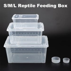 Boîte d'alimentation pour élevage de reptiles, conteneurs transparents pour élevage d'insectes, Cage