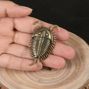 Cambrian Trilobite – décoration de bureau en laiton, Figurine en métal d'insecte ancien, thé pour