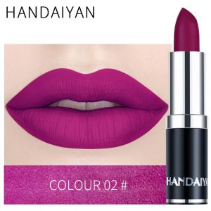 Handaiyan Sexy nu rouge marron violet brillant à lèvres mat brillant à lèvres velouté rouge à lèvres
