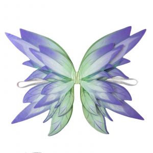 Robe de Barrage avec Ailes d'Ange pour Femme et Fille, Costume de Princesse, Papillon D&eacute;grad&eacute;,