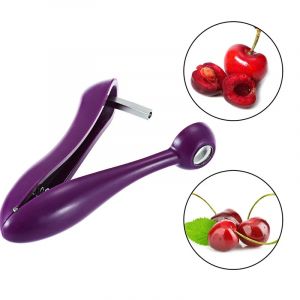 1 pièces cerise fruits Olive noyau enlever fosse outil graine Gadget Stoner Corer dénoyauteur