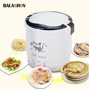 Mini cuiseur à riz électrique Portable multicuiseur cuiseurs à riz domestiques 12V 24V 220V Pot