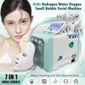 Machine de miles à Petites Bulles d'Hydrogène et d'Oxygène, Soins pour la Peau, Spa pour le Visage,