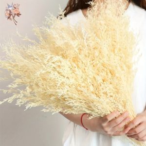 Bouquet de limonium naturel conserv&eacute;, v&eacute;ritable lavande de mer fra&icirc;che pour la d&eacute;coration de mariage