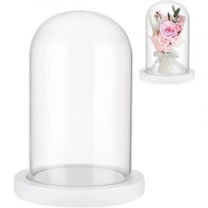 1 ensemble d'affichage en verre de fleur éternelle, Cloche en verre avec socle en bois blanc, Cloche