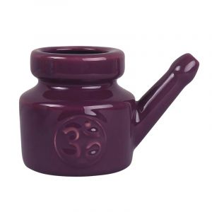 Pot Neti en céramique pour hommes et femmes, pot de livres antarctique, pot à bec étanche durable,