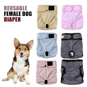 Couche-culotte lavable et r&eacute;utilisable pour chien et femme, 1 pi&egrave;ce, short hygi&eacute;nique, culotte,