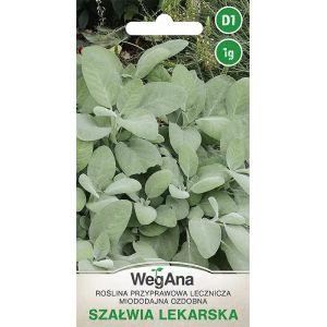 M&eacute;dicament sauge 1G graines sauge herbe VegAna