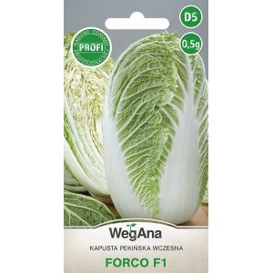 Chou chinois Forco F1 0.5g graines de chou végétal VegAna