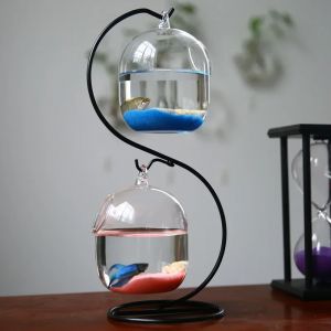 Bouteille d'infusion de poisson en verre transparent suspendu à double pont, vase à fleurs pour