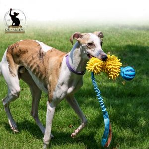 Boule de traction &eacute;lastique, jouets de dentition interactifs pour chien, jouets &agrave; m&acirc;cher, corde