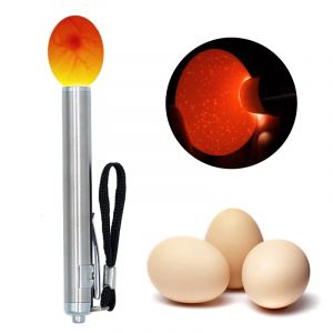 Incubateur Eggtester oeuf Candling lampe LED Super froid &eacute;quipement outil d'incubation pour poulet