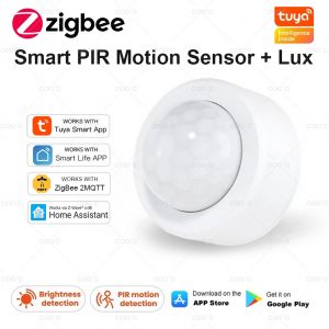Tuya 2 en 1 Zigbee Mini détecteur de mouvement PIR + lumière Lux brillante capteur d'alarme antivol