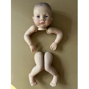 NPK 19 pouces nouveauté déjà peint Kit jumeaux Lily et Irys doux au toucher peint à la main avec des