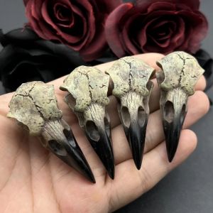 2 pièces 61*25mm 3D corbeau crâne hommes crâne collier pendentif pie gothique Halloween cadeau