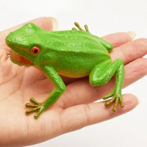 Modèle de grenouille simulée, jouet animal, crapaud, grenouille veineuse, farce, effrayant,