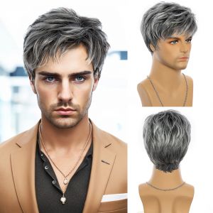 Perruques Synthétiques Courtes pour Homme, Cheveux Gris et Blanc, Cosplay, Usage Quotidien, Mode