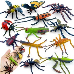 Troph&eacute;es insectes animaux mod&egrave;le papillon Cricket araign&eacute;e abeille Figurines mante Figurine
